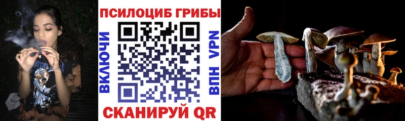 Псилоцибиновые грибы Cubensis  Куровское 