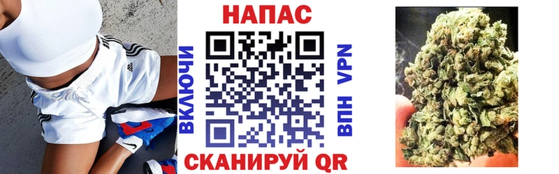 Марихуана гибрид Куровское